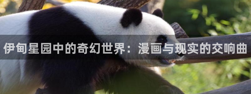 哔咔漫画啊